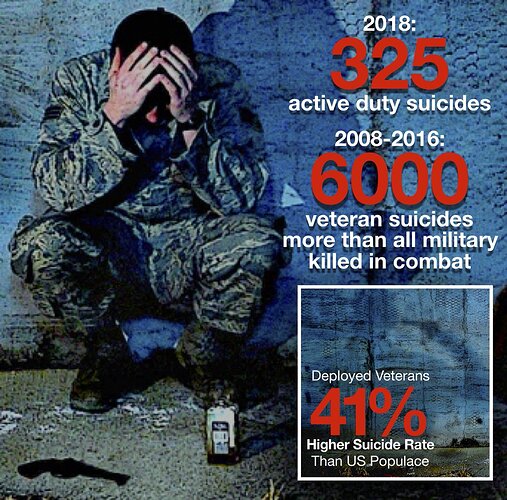 veterans suicides v cvd