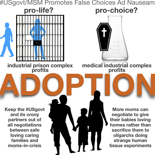 adoption abortion scam