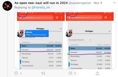 Sanders-MI-VoteFraud-2019.jpeg